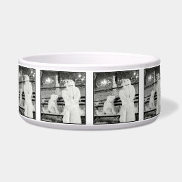 フレンズ最高のペットボウル ボウル