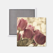 フレンズ磁石 マグネット (正面/裏面)