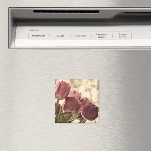 フレンズ磁石 マグネット (インサイチュ (食洗機))