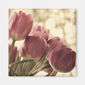 フレンズ磁石 マグネット