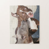 フレンズ遊アット-ピットブル子犬 ジグソーパズル (縦)