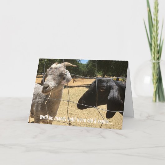 フレンズ間抜け永久カード カード (正面)