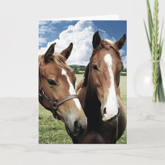 フレンズ・フォーエバー カード (正面)