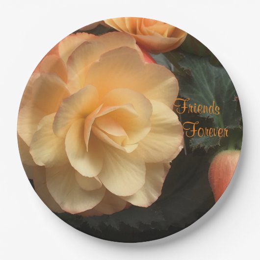 フレンズ·フォーエバー ペーパープレート (正面)