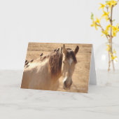 フレンズ©リンダ・スコット カード (黄色い花)