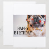 フレンチちゃんの誕生日 招待状 (正面/裏面)