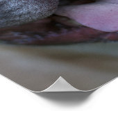 フレンチエ ポスター (角)