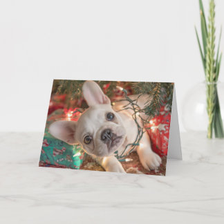 フレンチブルドッグのクリスマスカード – ライトに絡まる子犬 カード
