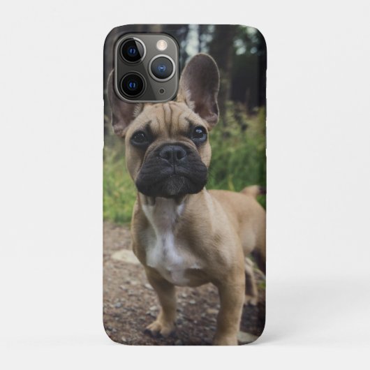 フレンチブルドッグのスローピロー Case-Mate iPhoneケース (裏)
