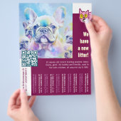 フレンチブルドッグの子犬がひねりを加えて チラシ (手)