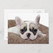フレンチブルドッグの子犬がドッグベッドに横になっている ポストカード (正面/裏面)