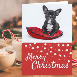フレンチブルドッグの子犬の写真 クリスマスカスタム シーズンカード