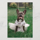 フレンチブルドッグバー メニュー (裏面)