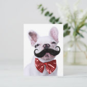 フレンチブルドッグ子犬と口ひげ ポストカード (スタンド正面)