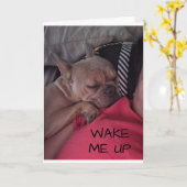 「フレンチブルドッグ」から「早く治してね」 カード (黄色い花)