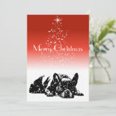 フレンチブルドッグ シーズンカード (スタンド正面)