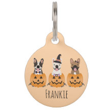 フレンチブルドッグ ハロウィン かぼちゃ