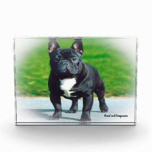フレンチブルドッグ フォトブロック (正面)