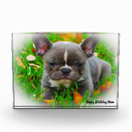 フレンチブルドッグ フォトブロック