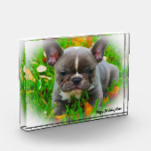 フレンチブルドッグ フォトブロック (左)