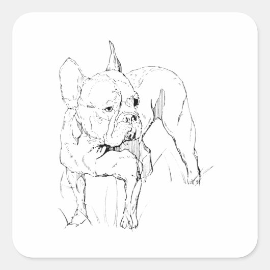 フレンチブルドッグ - 手描きの犬のイラスト スクエアシール (正面)