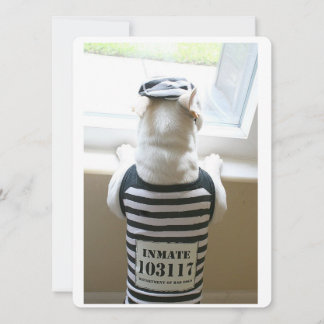 フレンチージュイルバードハッピーバースデーカード