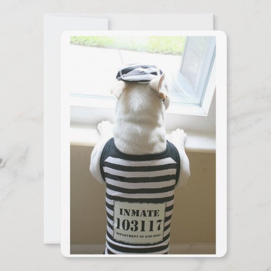 フレンチージュイルバードハッピーバースデーカード (正面)