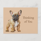 フレンチ考えーの君の ポストカード (正面)