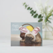 フレンチ・ブルドッグのイースターカード! シーズンポストカード (スタンド正面)