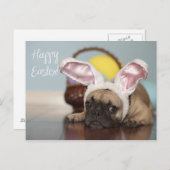 フレンチ・ブルドッグのイースターカード! シーズンポストカード (正面/裏面)