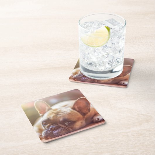フレンチ・ブルドッグのコースター スクエアペーパーコースター (インサイチュ)