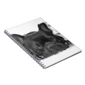 フレンチ・ブルドッグのノート ノートブック (右側)