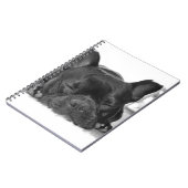 フレンチ・ブルドッグのノート ノートブック (左側)