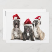 フレンチ・ブルドッグの子犬はサンタの身に着けている帽子を歌います シーズンカード (正面/裏面)