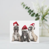 フレンチ・ブルドッグの子犬はサンタの身に着けている帽子を歌います シーズンポストカード (スタンド正面)