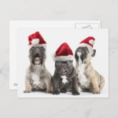 フレンチ・ブルドッグの子犬はサンタの身に着けている帽子を歌います シーズンポストカード (正面/裏面)
