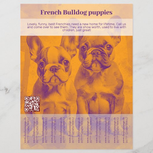 フレンチ・ブルドッグの子犬フライヤー チラシ (正面)