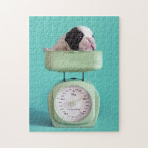 フレンチ・ブルドッグの子犬 ジグソーパズル