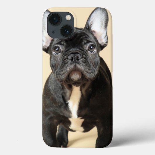 フレンチ・ブルドッグの子犬 Case-Mate iPhoneケース (裏面)