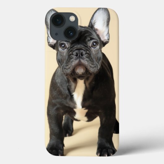 フレンチ・ブルドッグの子犬 Case-Mate iPhoneケース (裏面)