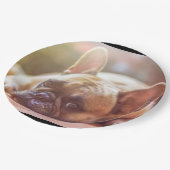 フレンチ・ブルドッグの置くこと ペーパープレート (アングル)