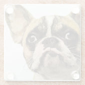 フレンチ・ブルドッグの色彩の鮮やかなポートレート ガラスコースター (裏面)