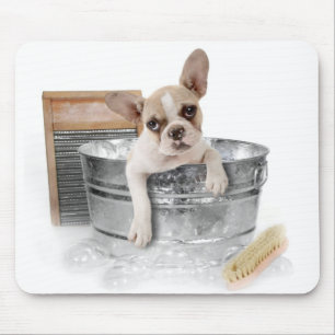 フレンチ・ブルドッグブラウン及びBathを取っている白い小犬 マウスパッド