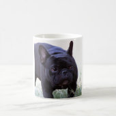 フレンチ・ブルドッグ犬 コーヒーマグカップ (中央)