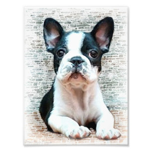 フレンチ・ブルドッグ犬 フォトプリント
