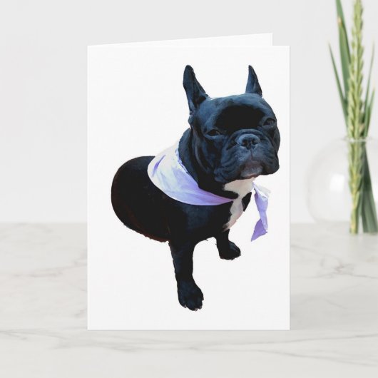 フレンチ・ブルドッグ カード (正面)