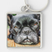 フレンチ・ブルドッグ キーホルダー (正面)