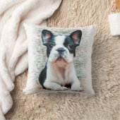 フレンチ・ブルドッグ クッション (ブランケット)