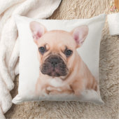 フレンチ・ブルドッグ クッション (ブランケット)