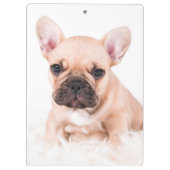 フレンチ・ブルドッグ クリップボード (裏面)